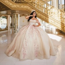 Glitter Sky Blue Quinceanera Dress Ball Gown Floral Applique Bow Back Sweet 16