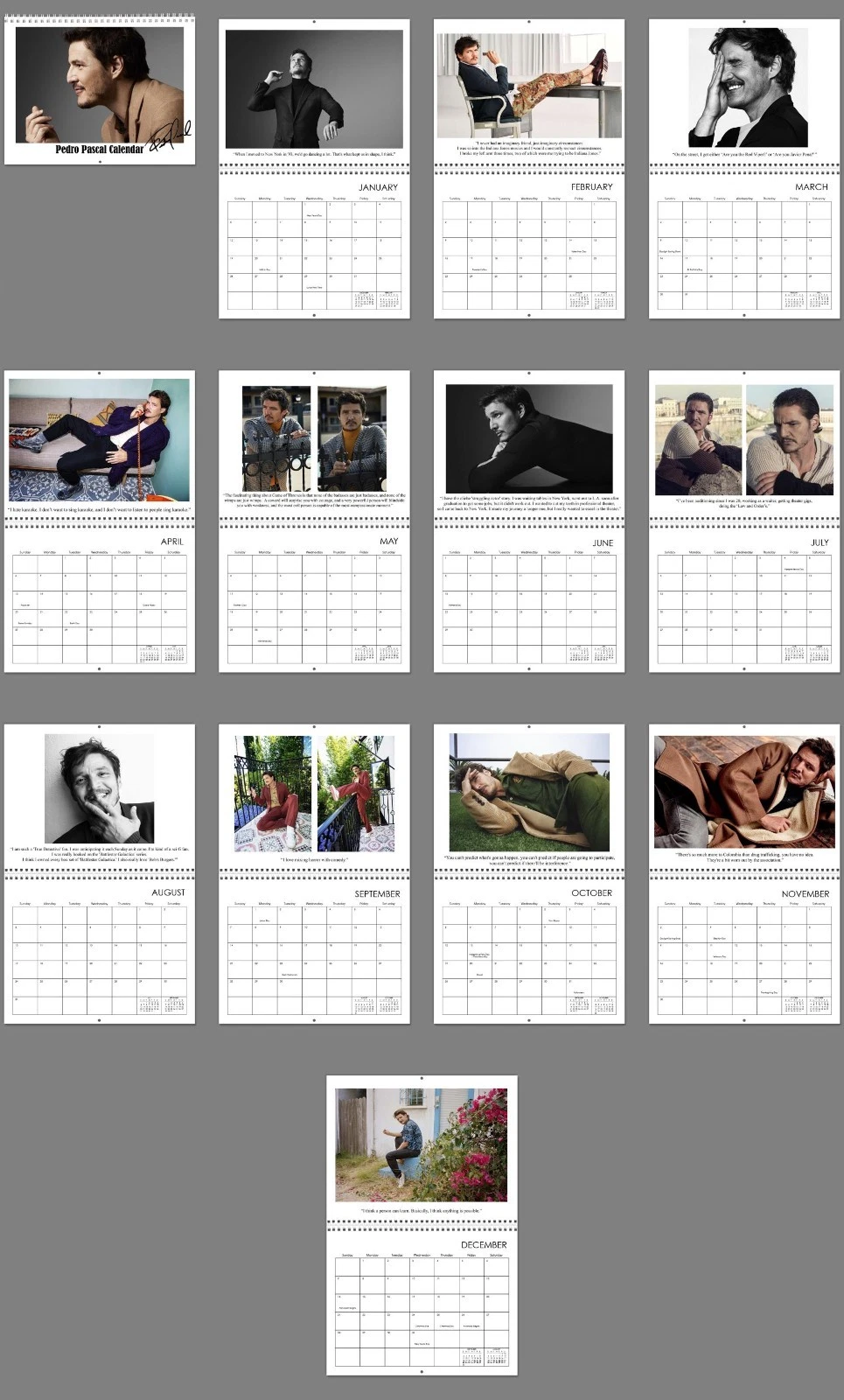 Pedro Pascal 2026 Wall Calendar, Hollywood Daddy Joel Merch, Gift for Her