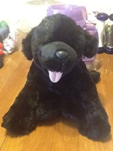 black labrador teddy bear