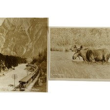 Antique Early 1900s RPPC Ephemera Postcard Tr...