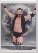 2017 Topps WWE Undisputed NXT Silver 15/50 Austin Aries #43 9aj