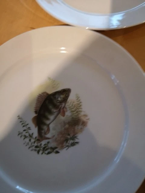 6 X Fischteller für Fischfreunde und Angler - Bild 3 von 4