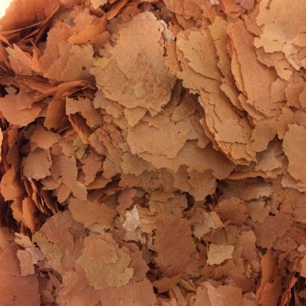 BRINE SHRIMP ARTEMIA FLAKE FOOD FOR TROPICAL AND MARINE AQUARIUM