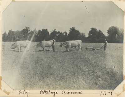 Cr cy les forges Decize Ni vre Traino Nivernais Monde Rural cr-cy-les-forges-decize-ni-vre-traino-nivernais-monde-rural