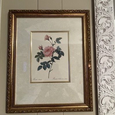 Rosa Inermis Pink Rose Framed Art Print - Rosier Turbine framed 