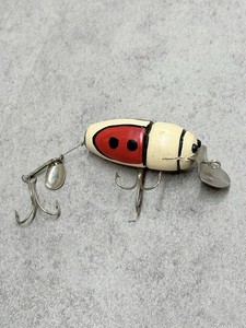 Creek chub Beetle for sale | eBay