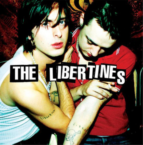 The Libertines The Libertines (Vinyl LP) 12" Album