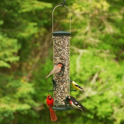 Aspects Big Tube Wild Bird Feeder, Spruce