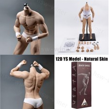 1/6 Scale Seamless Male Figure Body Muscular Model for 12" Phicen TBLeague Head
