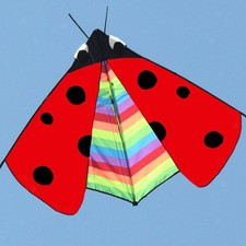 Vivid Triangle Marienkäfer Drachen Zum Flieg...