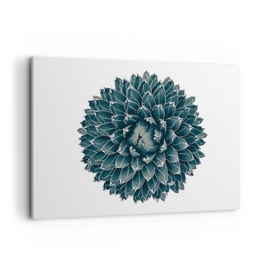 Wandbilder 100x70cm Leinwandbild Agave Königin Victoria Groß Bilder Wanddeko