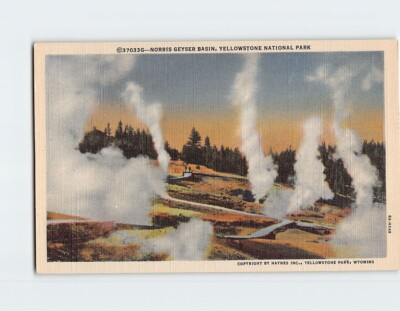 #ad #ad Postcard Norris Geyser Basin Yellowstone National Park Wyoming USA $3.46