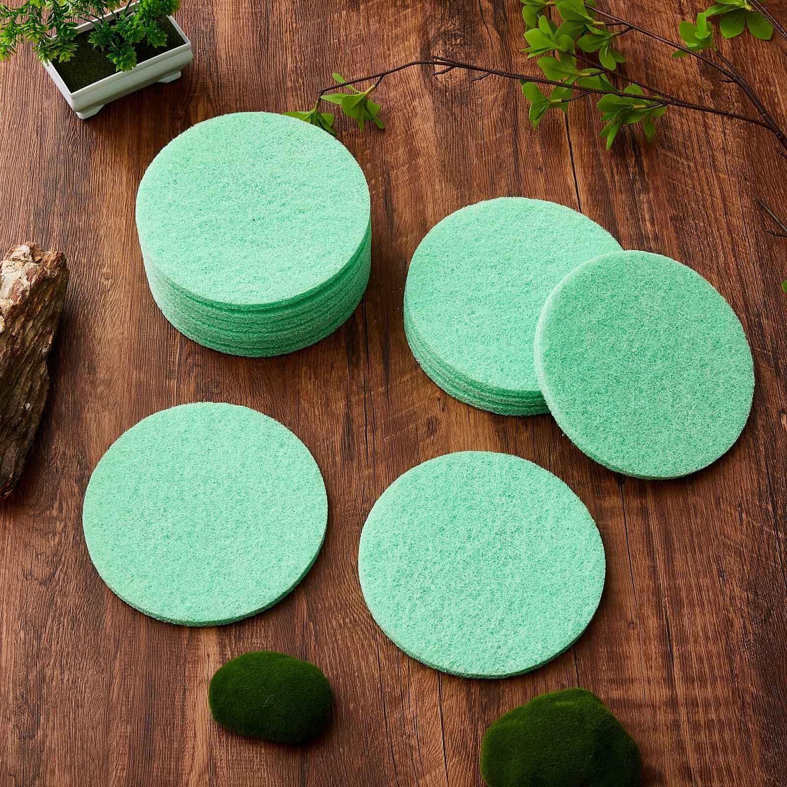 Tranqun 12 Pack Phosphate Remover Pad Compatible with Fx4/ Fx5/ Fx6 Phosphate...