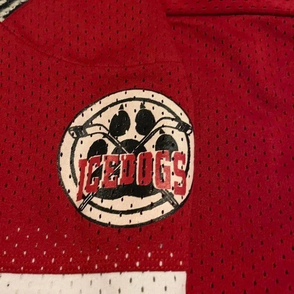 Camiseta vintage años 90 Bakka Bozeman Montana Icedogs husky y palos de hockey L EE. UU. Foto 4 de 4