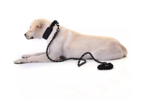 5 FT Dog Rope Leash - Reflective Nylon Lead, Training Padded Handle for Puppies - Picture 80 of 82