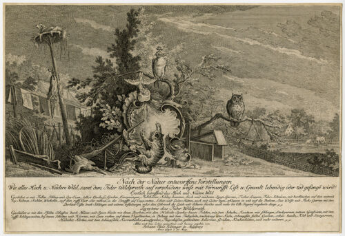Antiker Meisterdruck-TIERE-JAGD-EULE-KATZE-TAUBE-FALKNEREI-Reiter-1750 - Bild 1 von 2