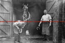 F000943 Photo of Farriers shoeing horse at Cheltenham England c1910s