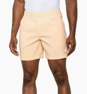 The North Face Shorts Erwachsene L Groß Pink Tasche Bequemer NF0A5A5X Herren
