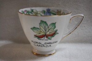 Royal Stafford Emblems of Canada Bone China Teacup Floral