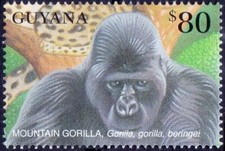 Mountain Gorilla, Monkeys, Guyana 2001 MNH   [Ps]