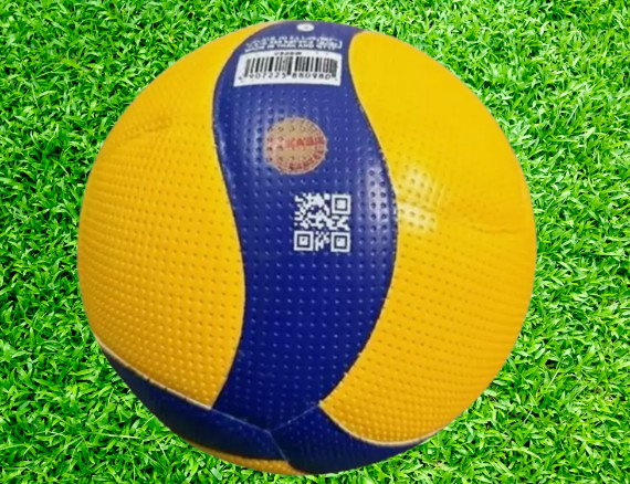 Ballon Volleyball Officiel FIVB Mikasa V200W 2019 Taille 5 Ballon De Volleyball Officiel FIVB Mikasa V200W 2019 - Taille 5 Pour Intérieur/extérieur Ballon Volley Officiel FIVB 2019