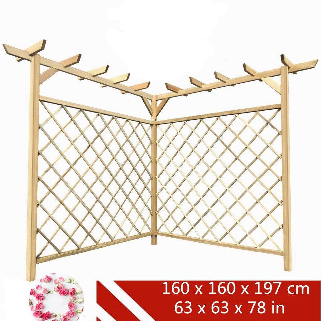Wooden Lean To Pergola Climbing Plants Garden Patio Entrance