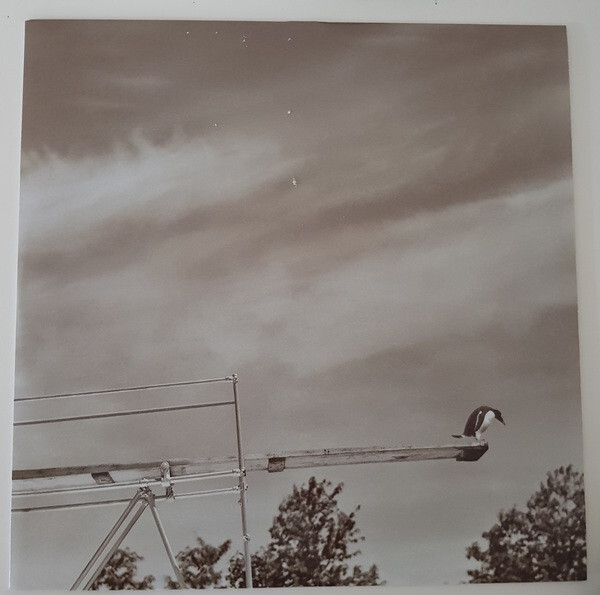 Picture 5 of 5