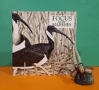 Wendy Jennings: Focus on the Marshes/art exhibition catalogues/birds/NSW