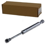 Nty Gasfeder KOFFERRAUM-LIFTER Passend FüR Ford Street | AE-FR-044