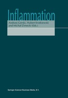 Andrzej GóRski (U. A.) | Inflammation | Taschenbuch | Englisch (2010) | Viii