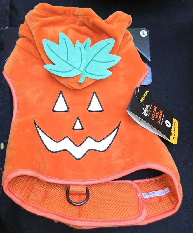 Costume Comfort Harness Thrills & Chills Orange Pumpkin Large