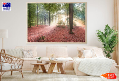 (Laminated) Autumn Leaves Filled Ground & Trees Photograph 91x61cm
