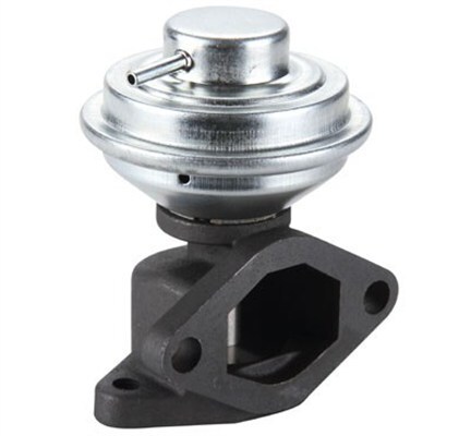 MAGNETI MARELLI 571822112107 EGR Valve for FORD