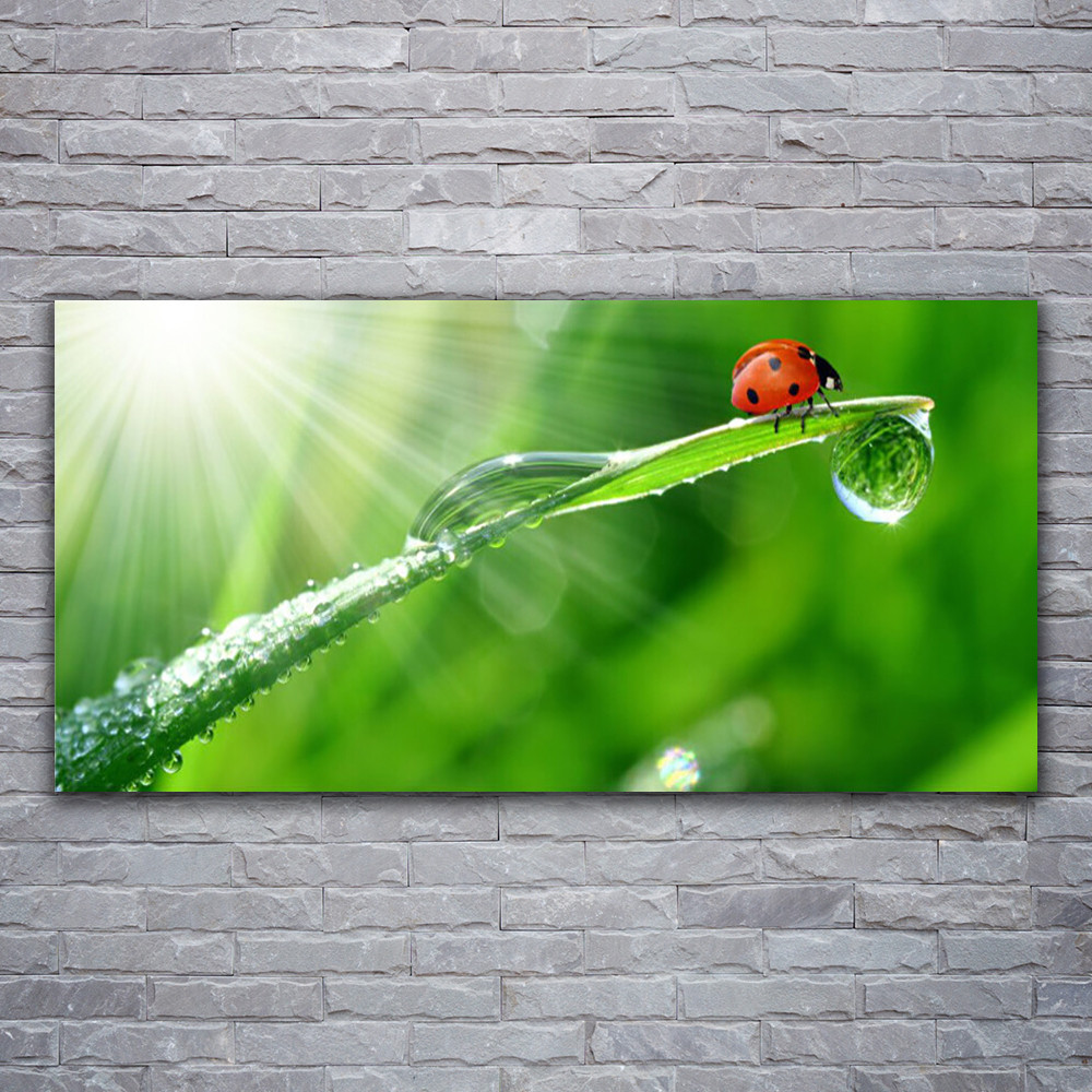 Impression sur toile haut de gamme 120x60 paysage herbe et soleil pour salon moderne