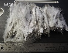 Large Lot Of Fluffy Blue Slate Turkey Feathers