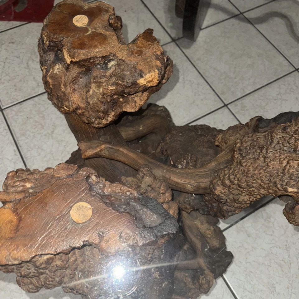 Mesa de centro natural raíz vintage con vidrio en la parte superior Foto 4 de 4