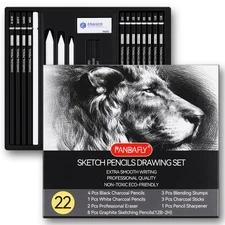 Drawing Sketching Pencil Set, 22 Piece Pro Art Pencil Kit - Graphite Pencils