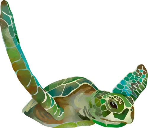 Sea Turtle Reptile Safari Zoo Animal Self Adhesive Sticker