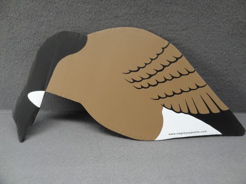 NEW Edge Express (12) Pack Real Geese Canada Goose Silhouette Decoy Dozen Hunt - Picture 9 of 13