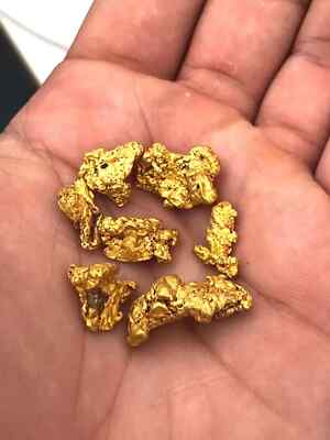 5 pounds bulk gold paydirt bag! UNSEARCHED PAYSTREAK! NUGGETS - BUY 2 GET 1 FREE