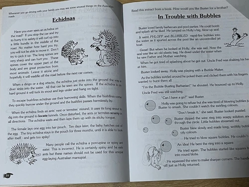 Literacy Tests 3 By David Alan And Patricia Turner  - Picture 2 of 4