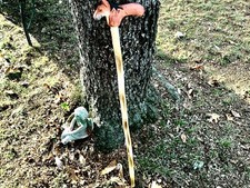 Rustic Wooden Hand Carved Walking Stick Cane Unique Horse Head Handle 36 Tall