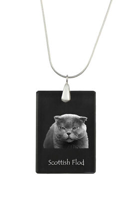 Scottish Fold - Crystal pendant with cat, silver necklace with photo, personalis