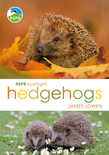 Thumbnail - Rspb Spotlight Hedgehogs (rspb) By Lowen, James
