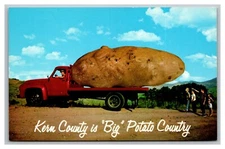Bakersfield CA Kern County Big Potato Country Exaggeration Chrome Postcard