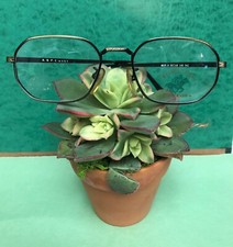 New Beverly Hills Polo Club Eyeglasses Antique Silver / Black Diamond-Cut SALE 