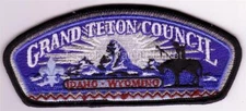 Grand Teton Council 2000 SA-47 District Thank You Csp Mint Cond FREE SHIPPING