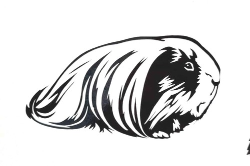 Guinea Pig Vinyl Decal Lunkarya Alpaca Peruvian Teddy Sheltie Merino Skinny Pig - Picture 2 of 16