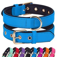 Soft Padded Dog Collars for Medium Dogs Lightweight and Breathable Dog Collar...