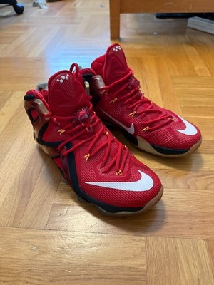 Nike Lebron James XII ELITE size 9.5 US